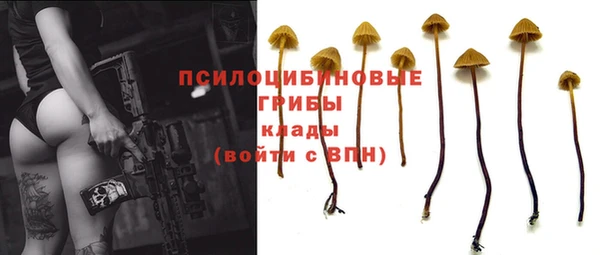 индика Ханты-Мансийск