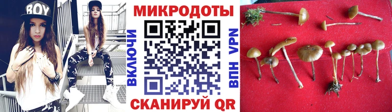Псилоцибиновые грибы GOLDEN TEACHER  Купить закладки  Слюдянка 